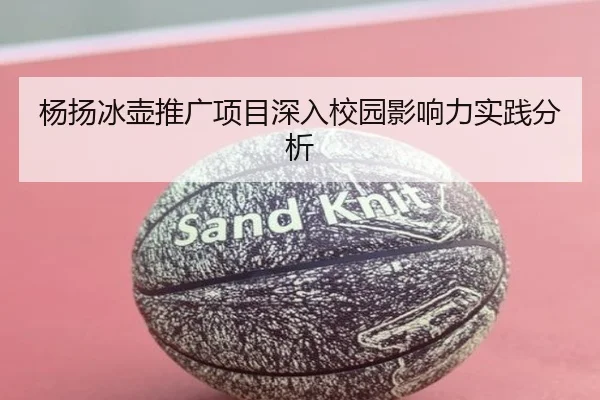 杨扬冰壶推广项目深入校园影响力实践分析